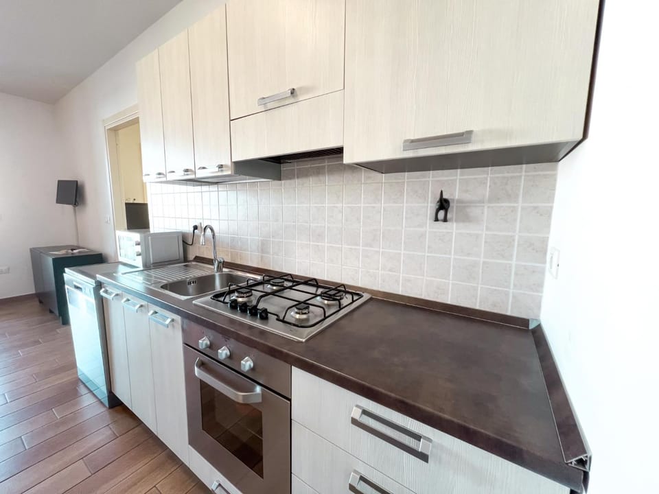 Kitchen or kitchenette, dishwasher, stove