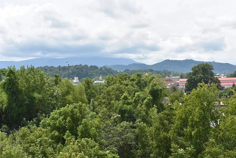 Natural landscape