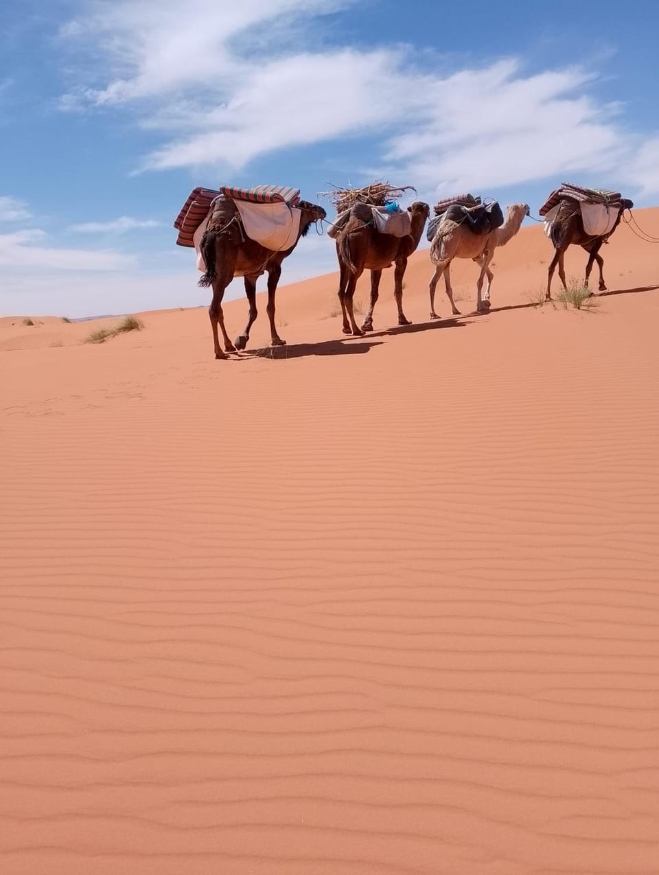 Emosion desert trekking Campground/ 
RV Resort in Morocco