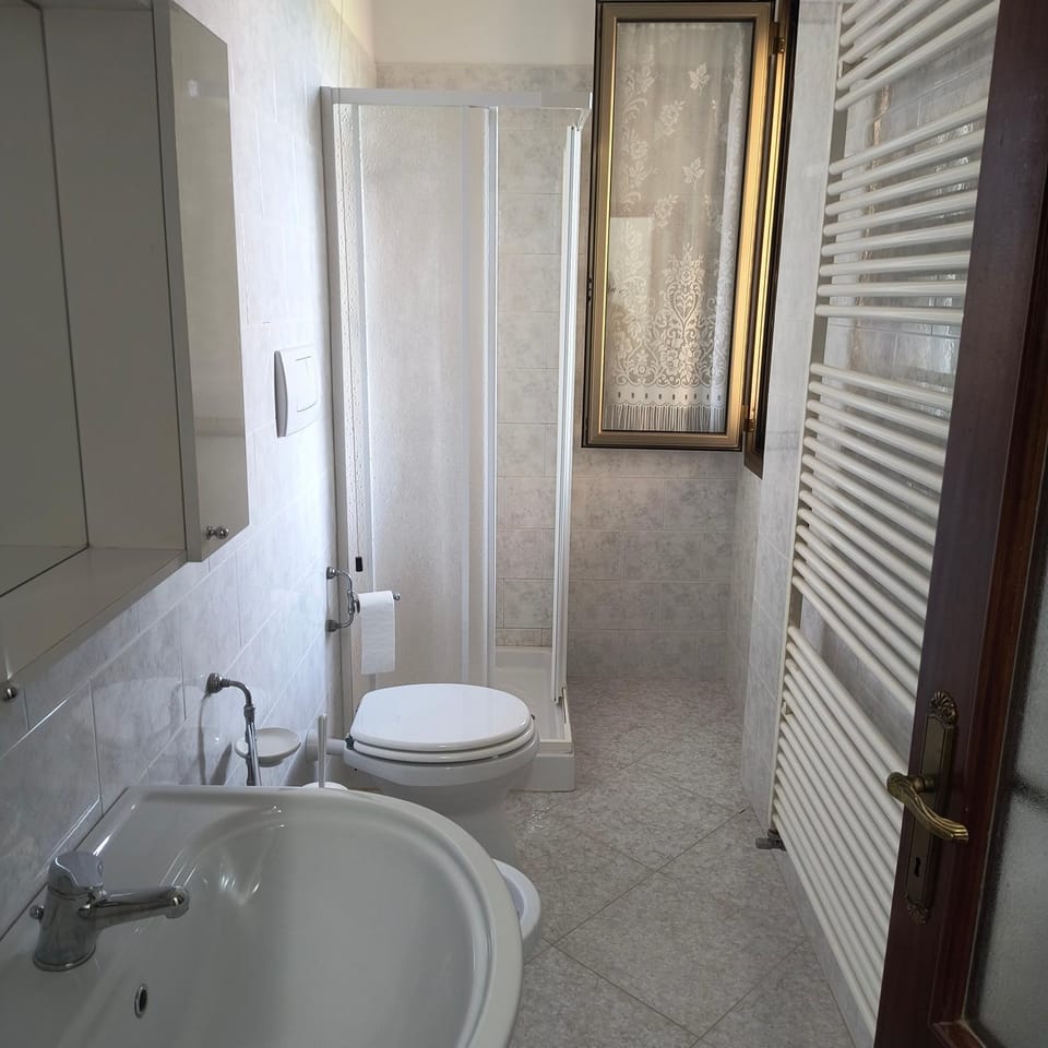 Shower, Toilet, Bathroom, bidet