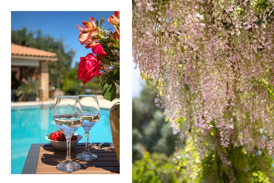 Day, Garden, Garden view, Pool view, Swimming pool