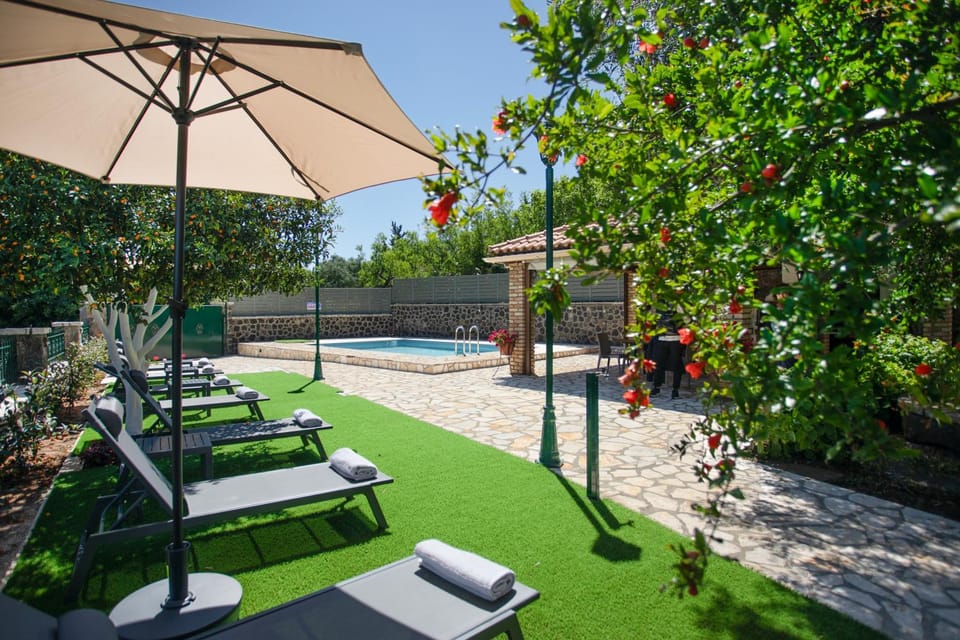 Patio, Spring, Day, Garden, Garden view, Pool view, Swimming pool, sunbed