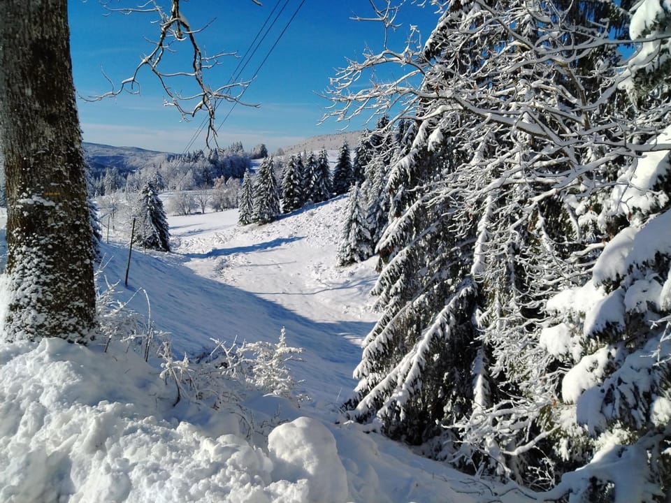 Natural landscape, Winter