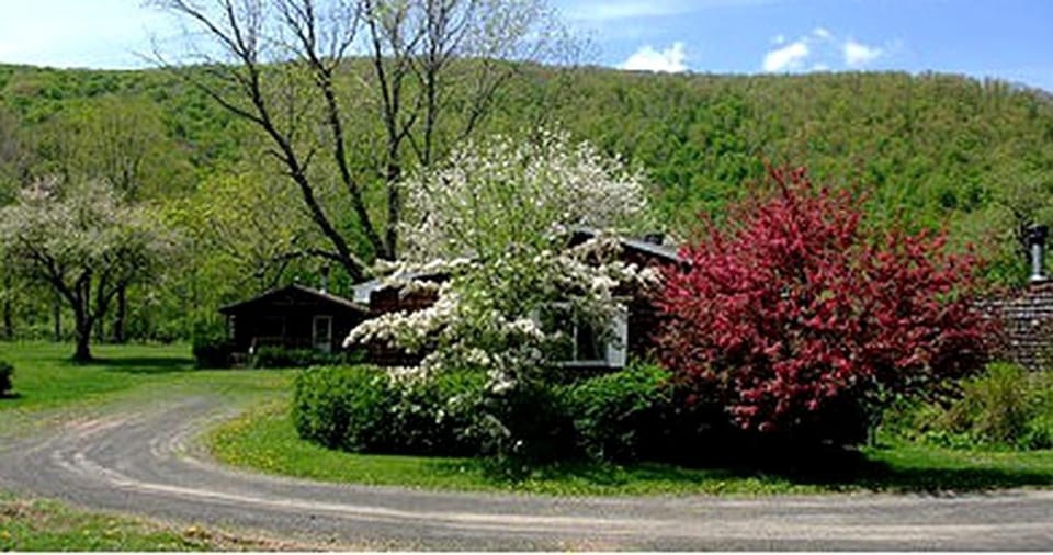 Family-Friendly Cabin Accommodation with Large Yard near Woodstock Cabin in Shandaken