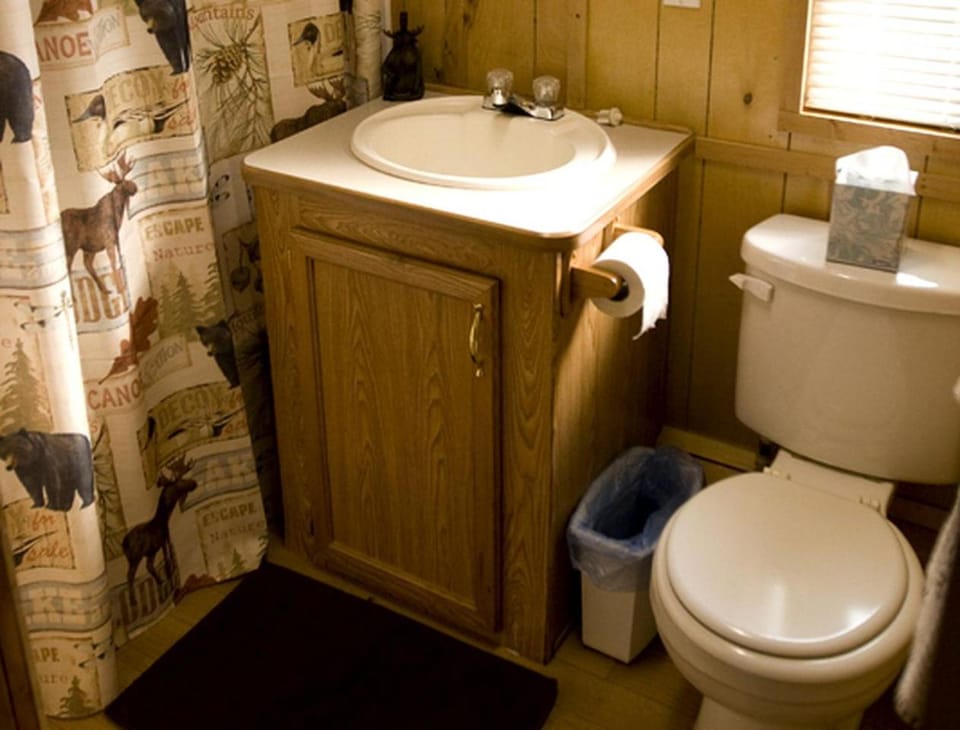 Deluxe Vacation Cabin Rentals in the Adirondacks near Saratoga Springs, New York Cabin in Saratoga