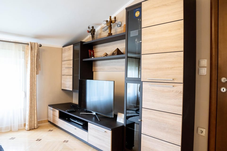 TV and multimedia