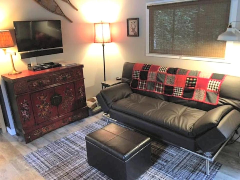 Pet-Friendly Cabin Rental Overlooking a River near Skykomish, Washington Cabin in Baring