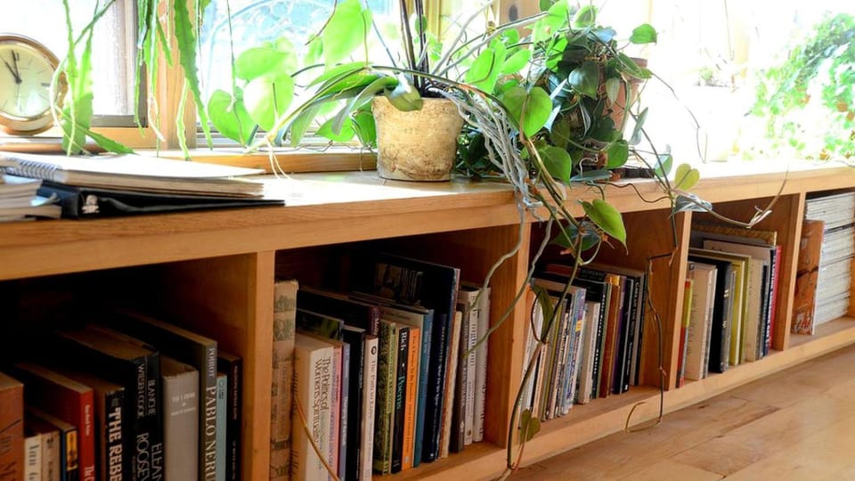 Cozy Lakefront Cabin Rental in the Woodlands of Empire, Michigan Cabin in Sleeping Bear Dunes