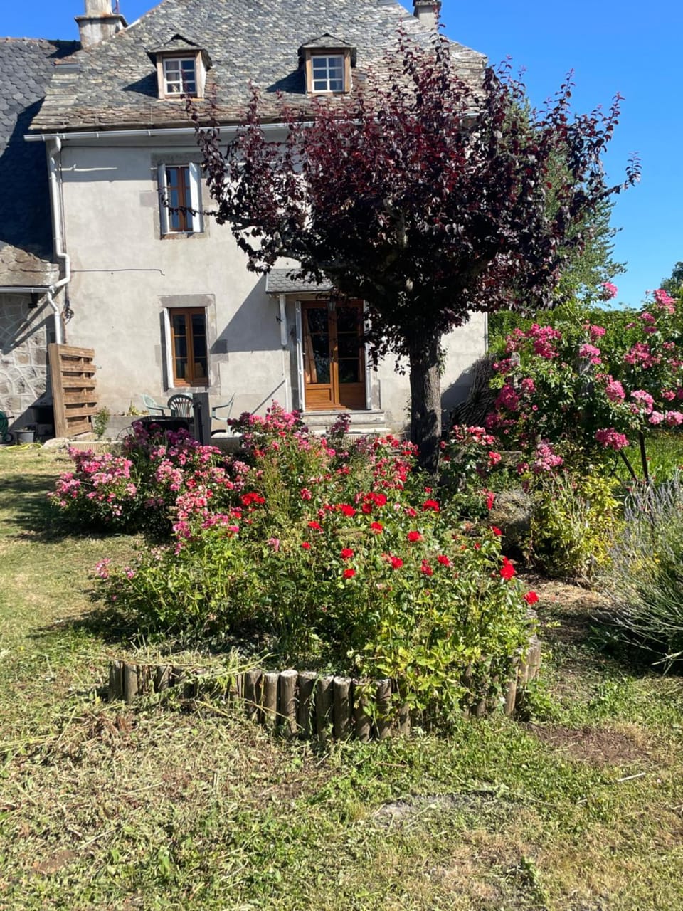 Property building, Garden