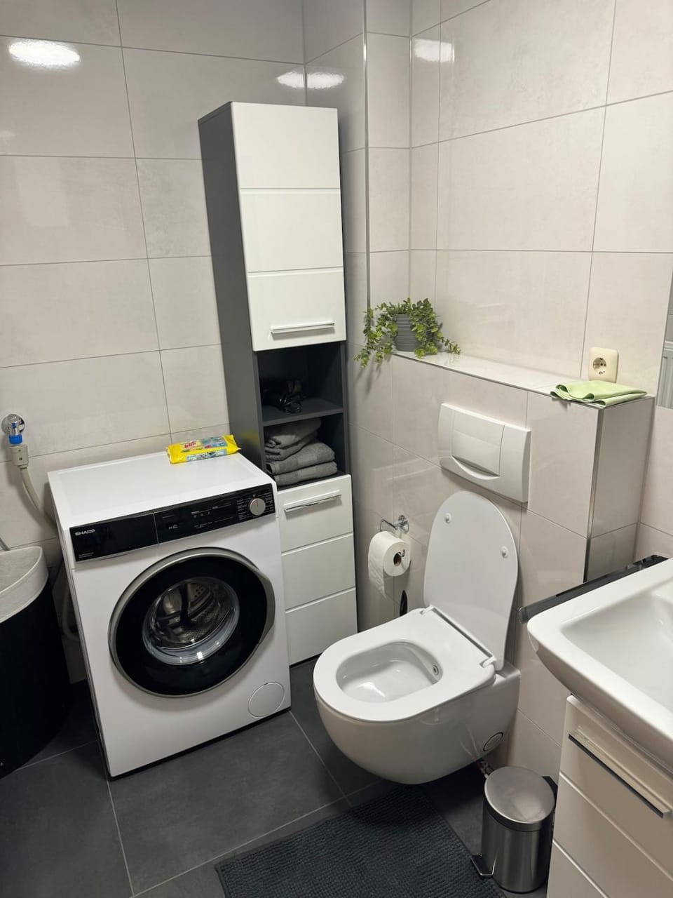 Toilet, Bathroom, washing machine
