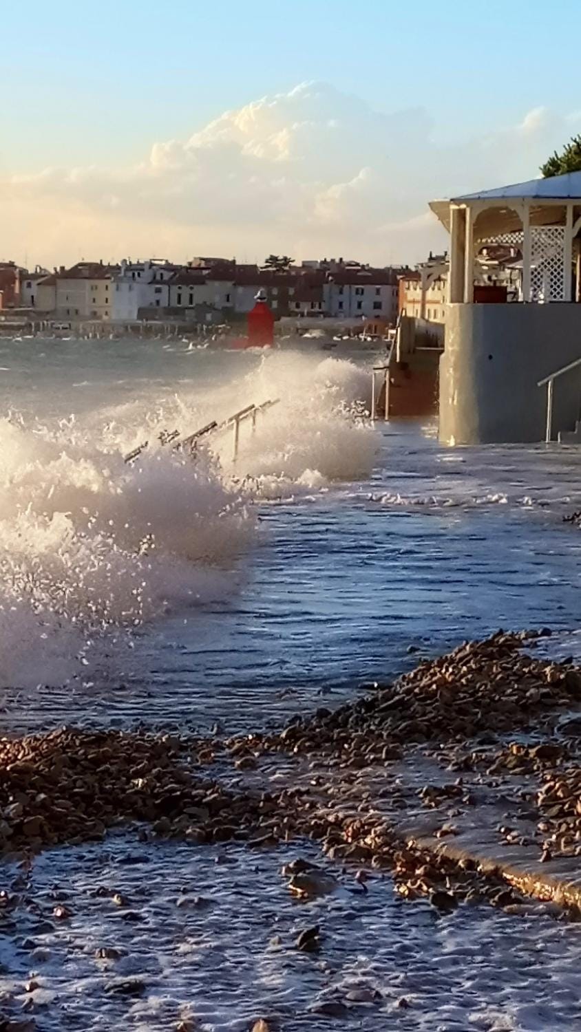 Apartma Enej Apartment in Piran