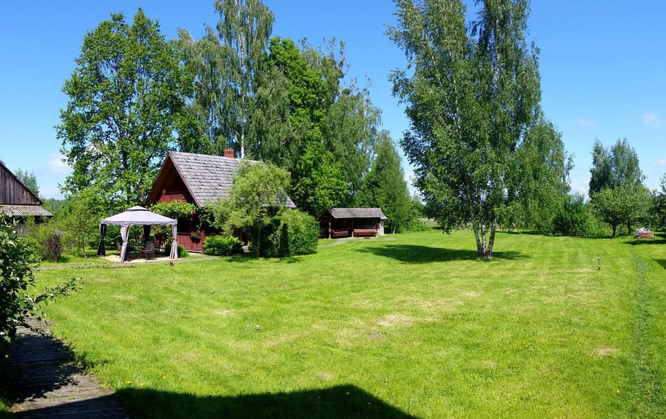 Day, Natural landscape, Garden