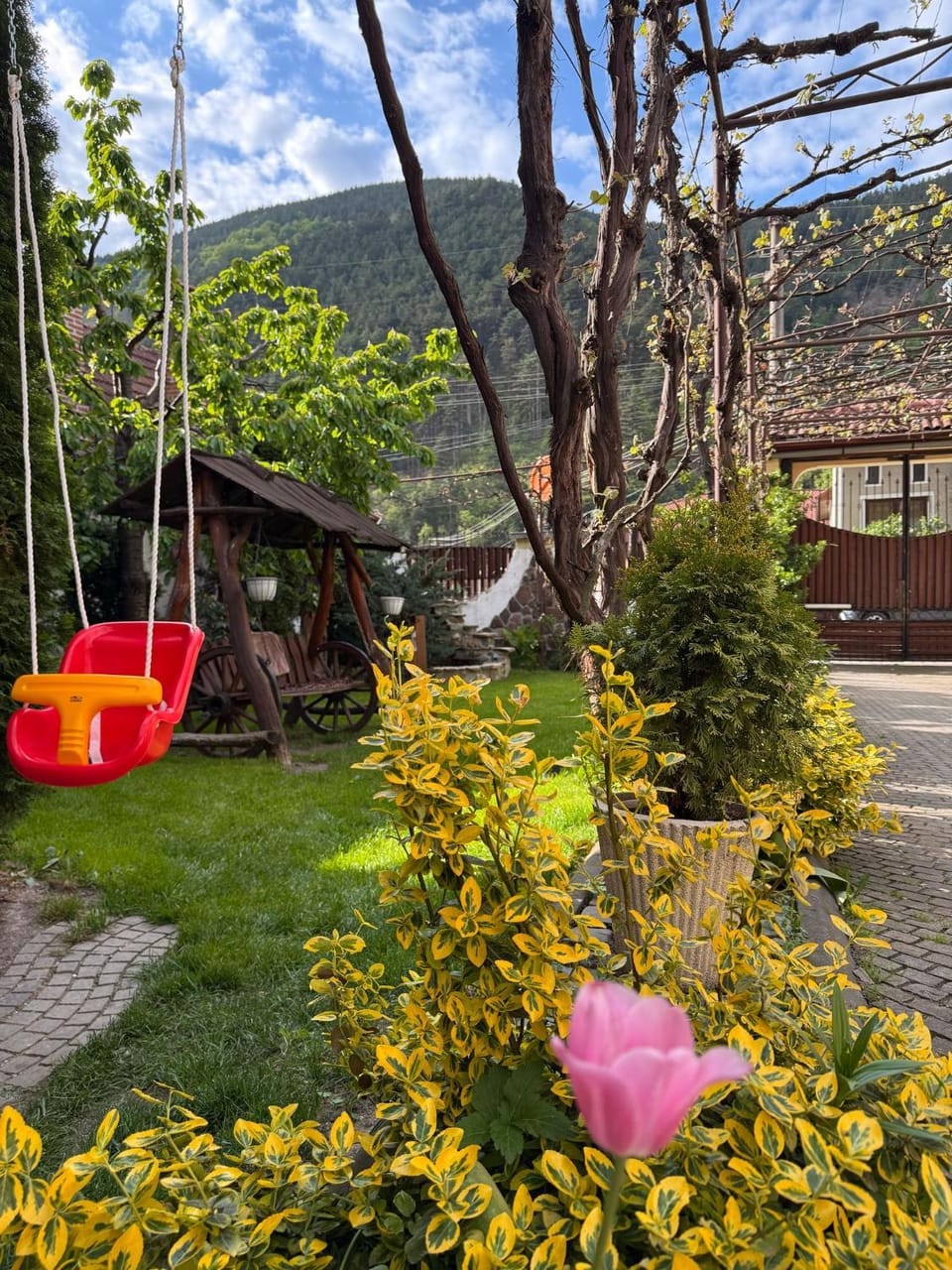 Pensiunea Călin Bed and Breakfast in Romania