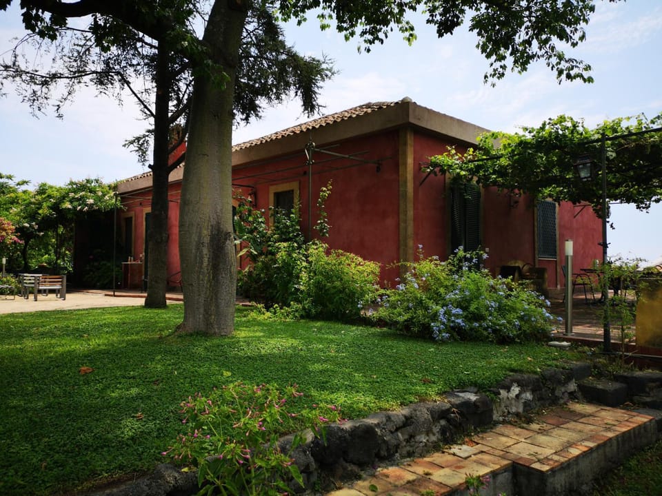 Property building, Garden, Garden view