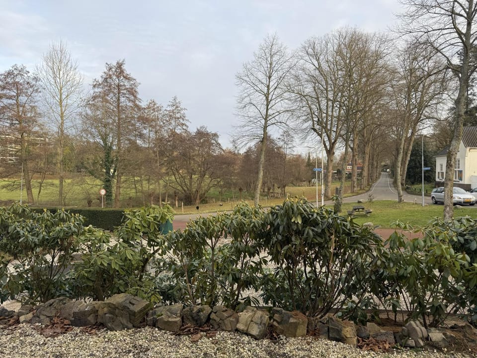 Natural landscape, Garden, Garden view