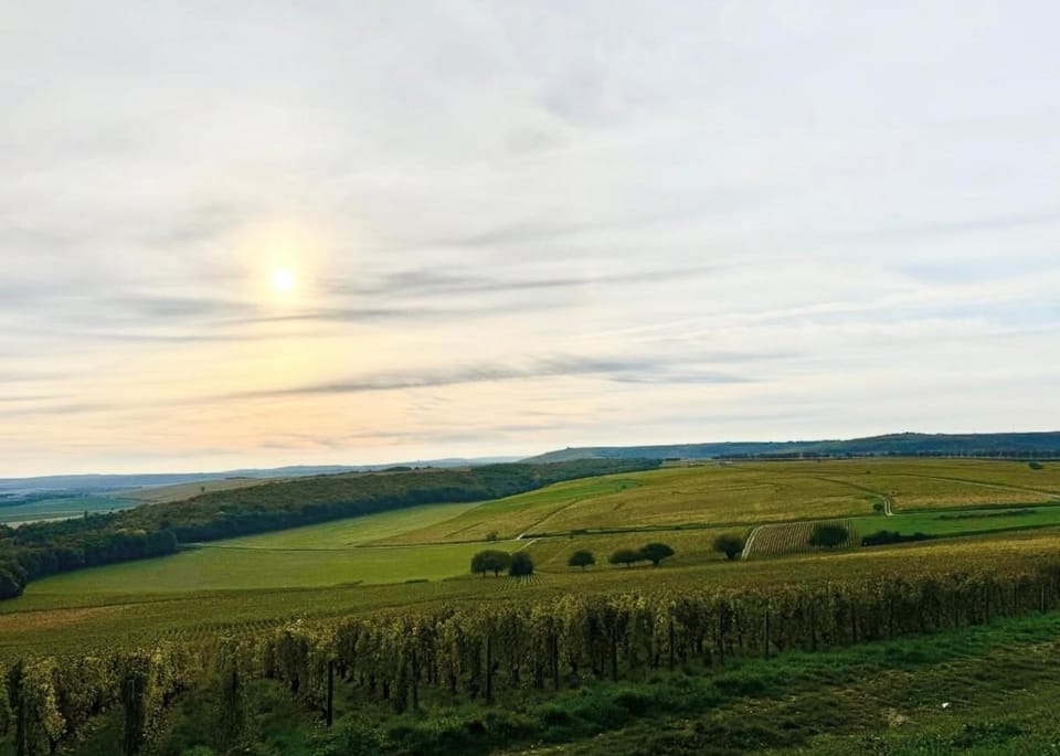 Maison Palomase en plein cœur de Sancerre House in Sancerre