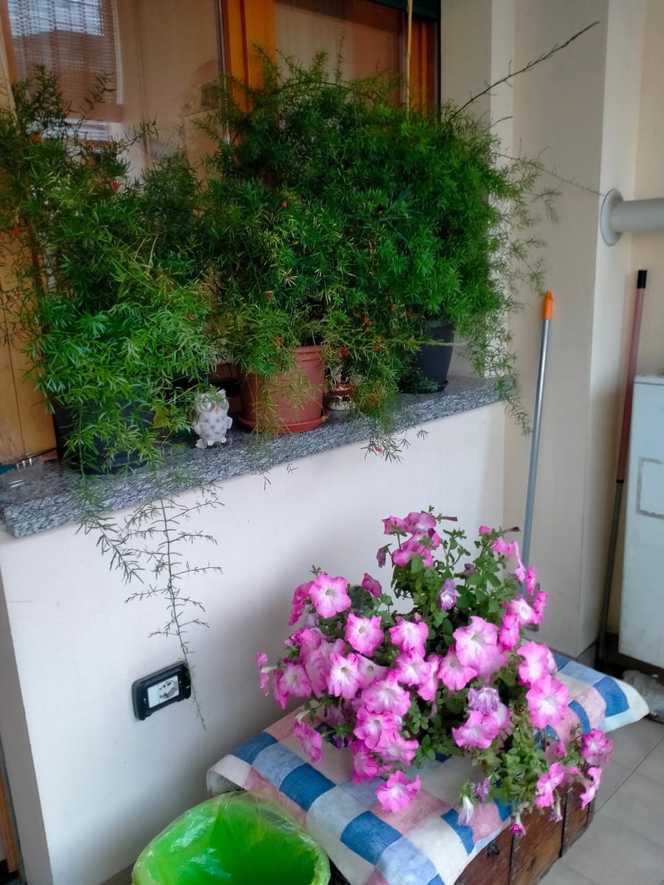 Alloggio Livia Apartment in Emilia-Romagna