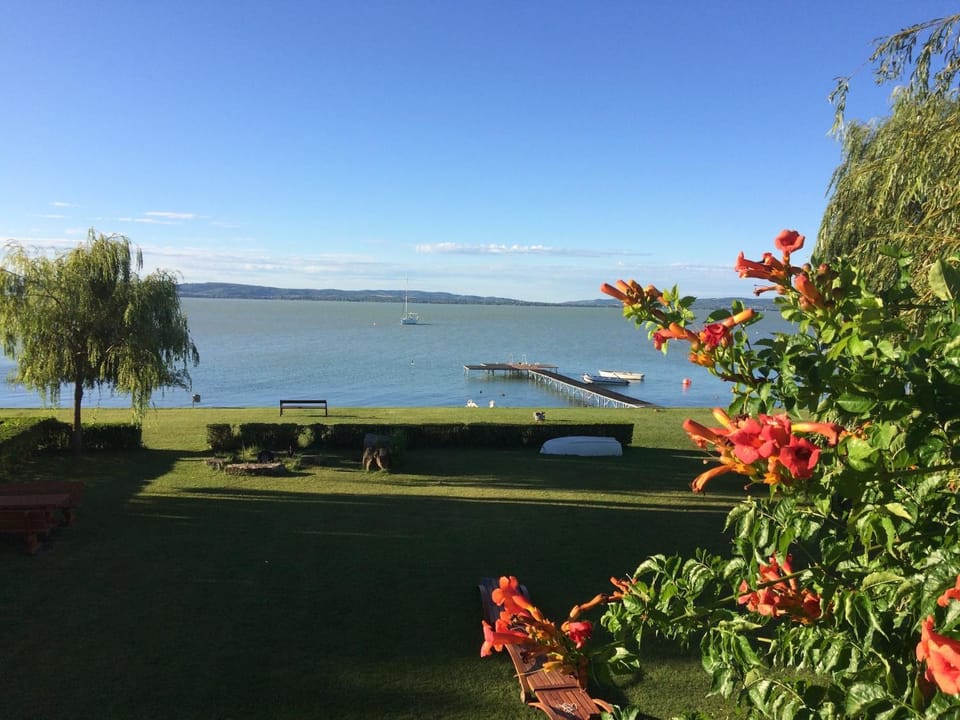 Lake view