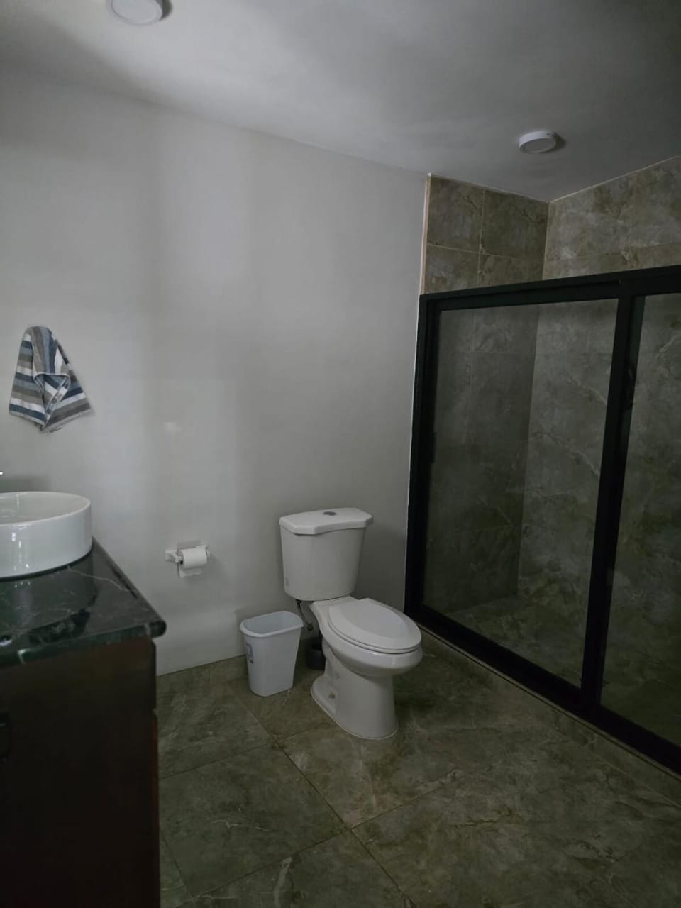 House with garden and pool House in Rosarito