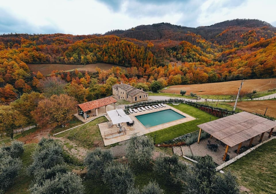Garden, Swimming pool