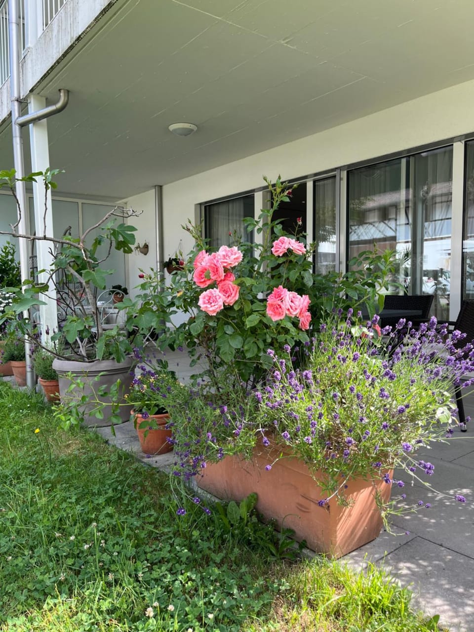 Property building, Garden, Garden view