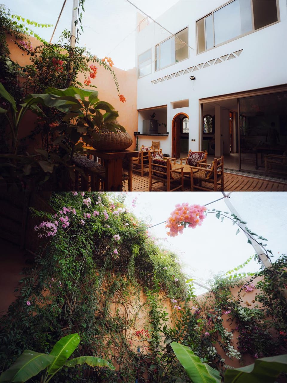 Garden, Balcony/Terrace