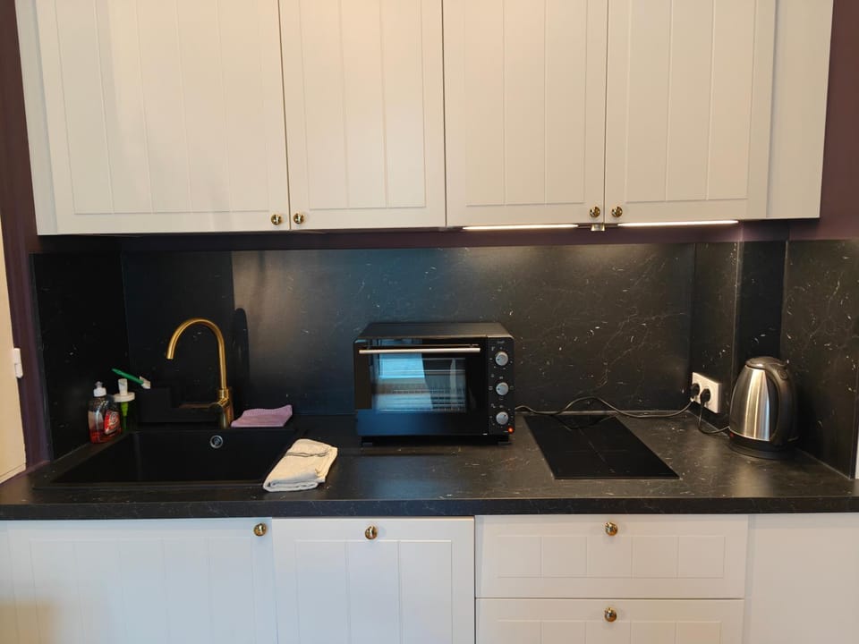 Spacious NEW Apt near Promenade up to 6 with AC Apartment in Nice