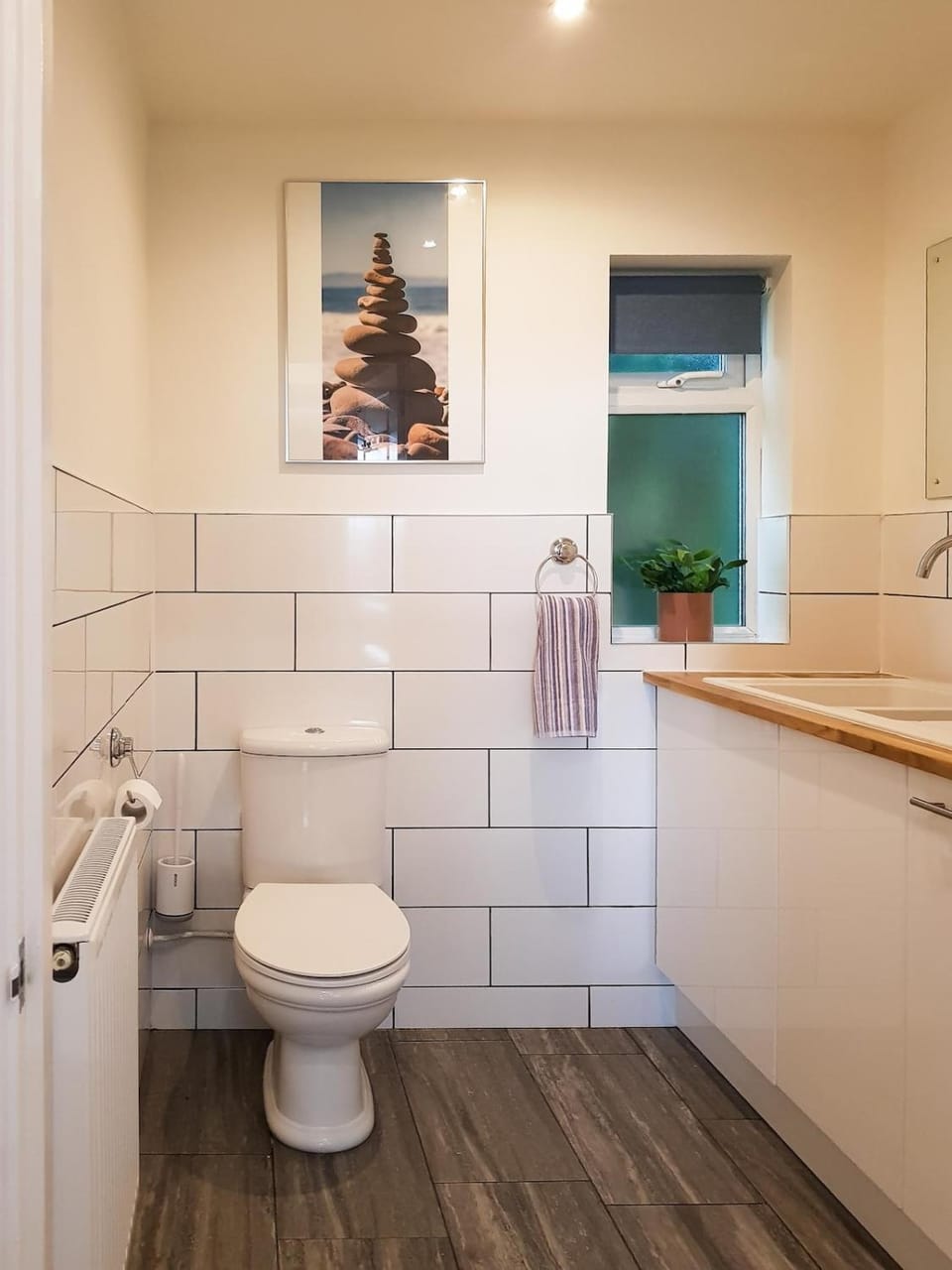 Toilet, washing machine