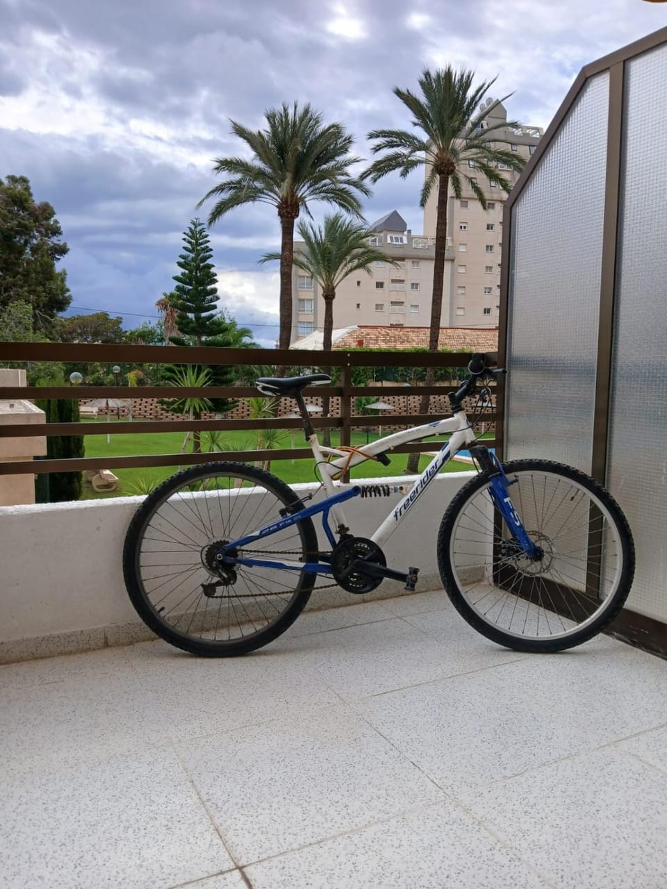 Cycling, Sports