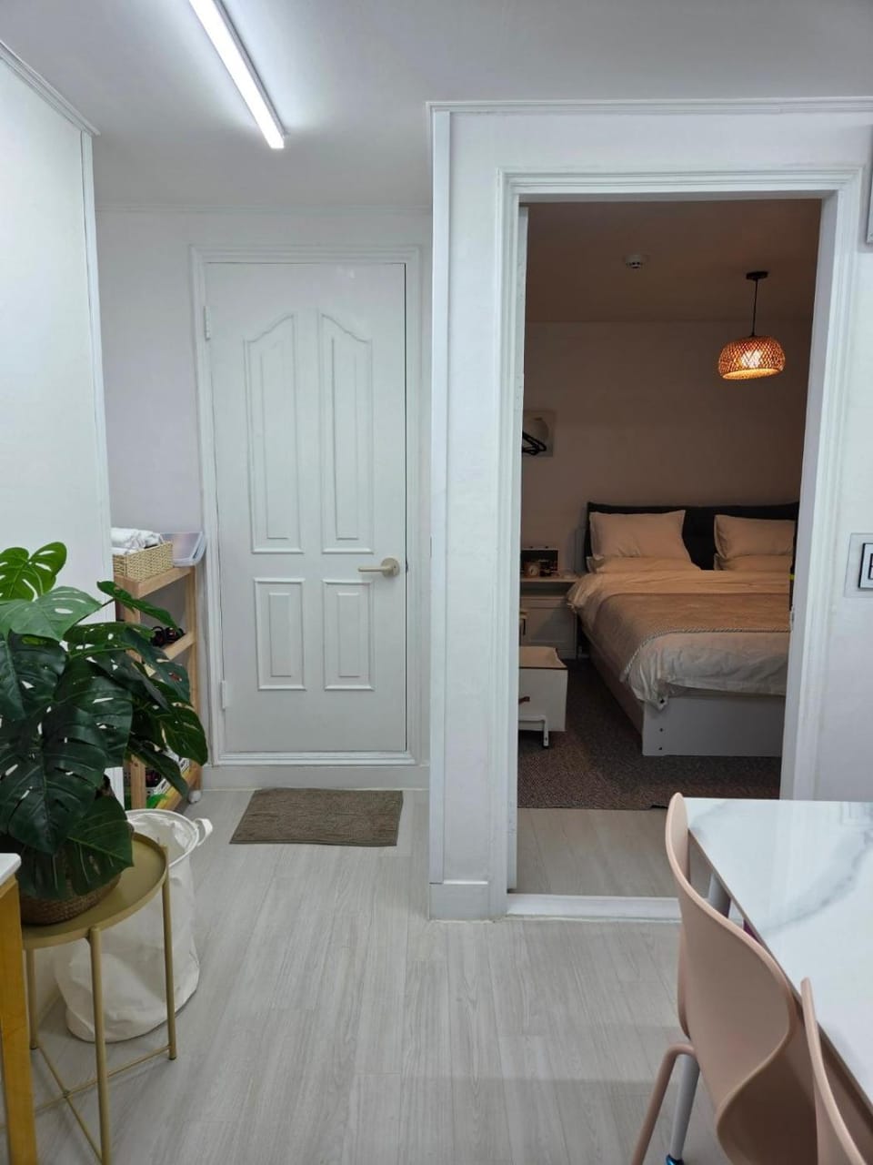 Photo of the whole room