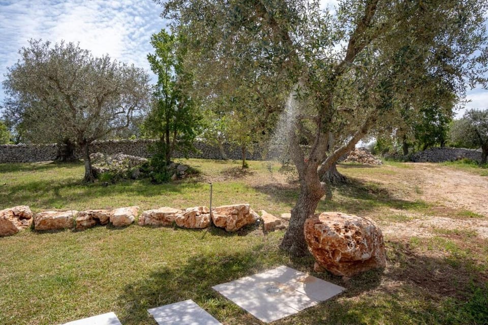 Trulli Olivetum by Trulli Casalina Villa in Province of Taranto