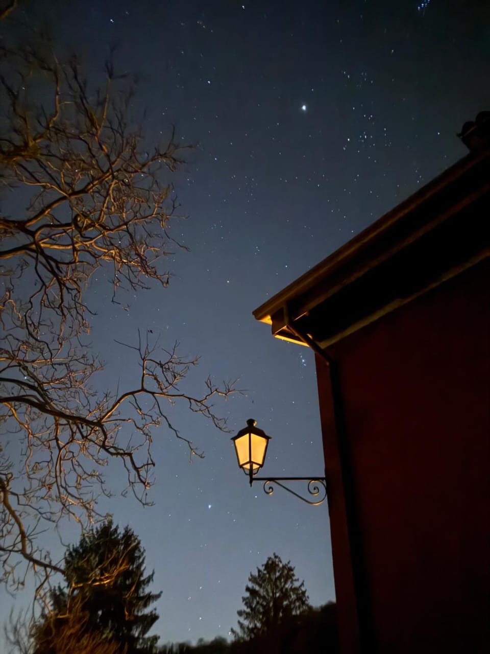 Night