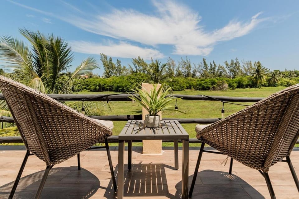 Natural landscape, Garden, Seating area
