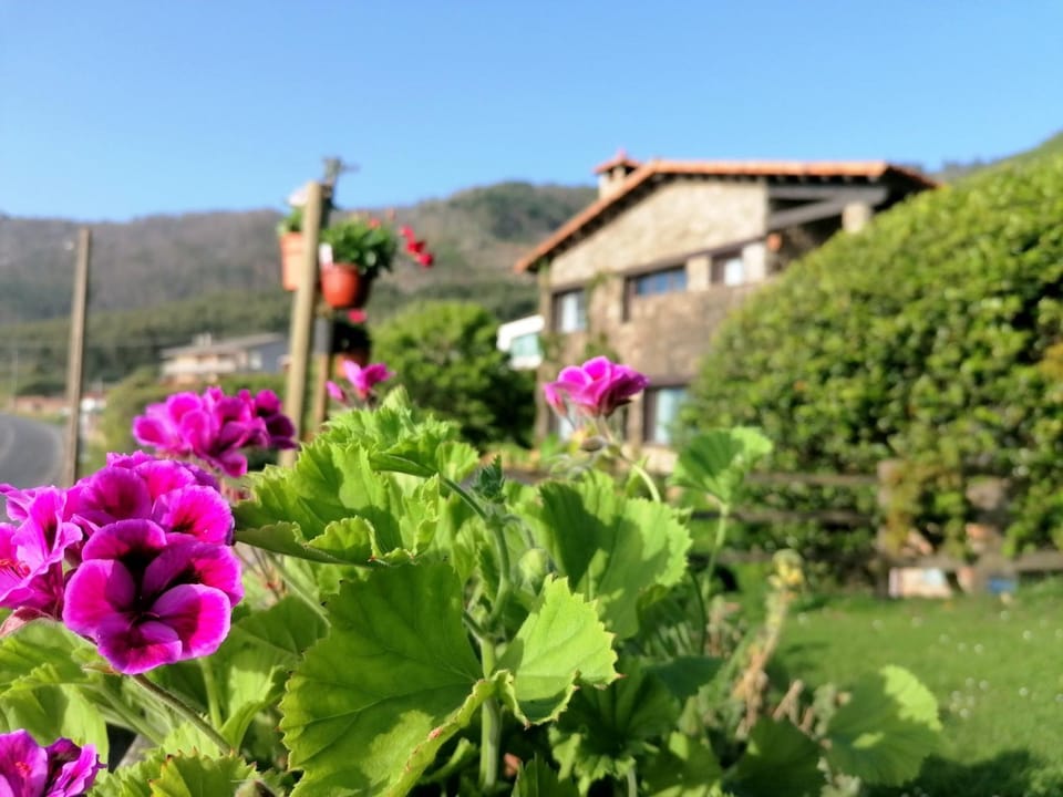 Property building, Spring, Natural landscape, Garden