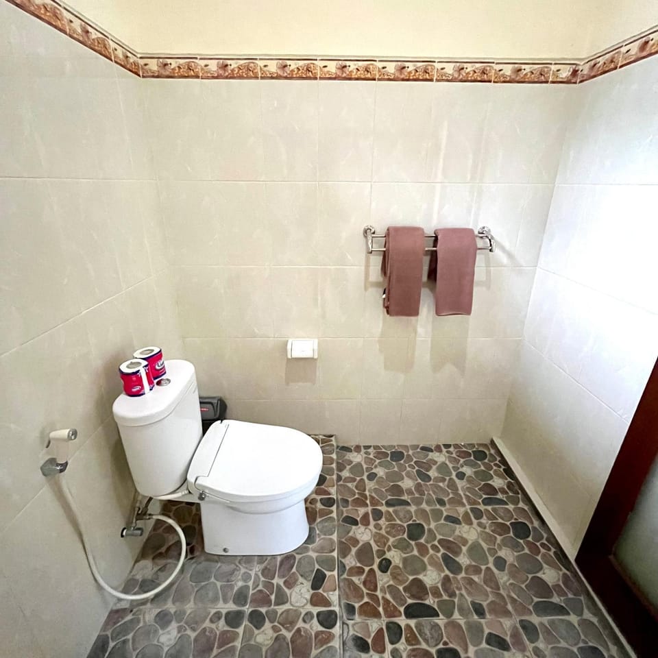 Toilet, Bathroom, towels