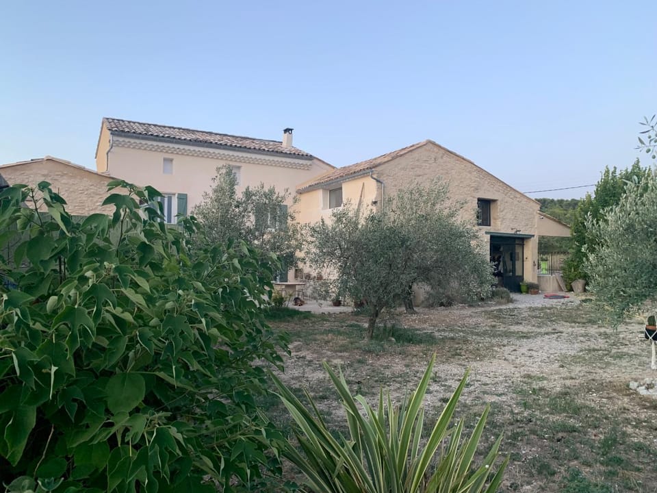 Property building, Garden view