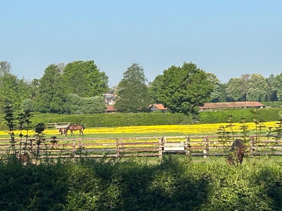 Beautiful Lodge in Newmarket with parking Apartment in Forest Heath District