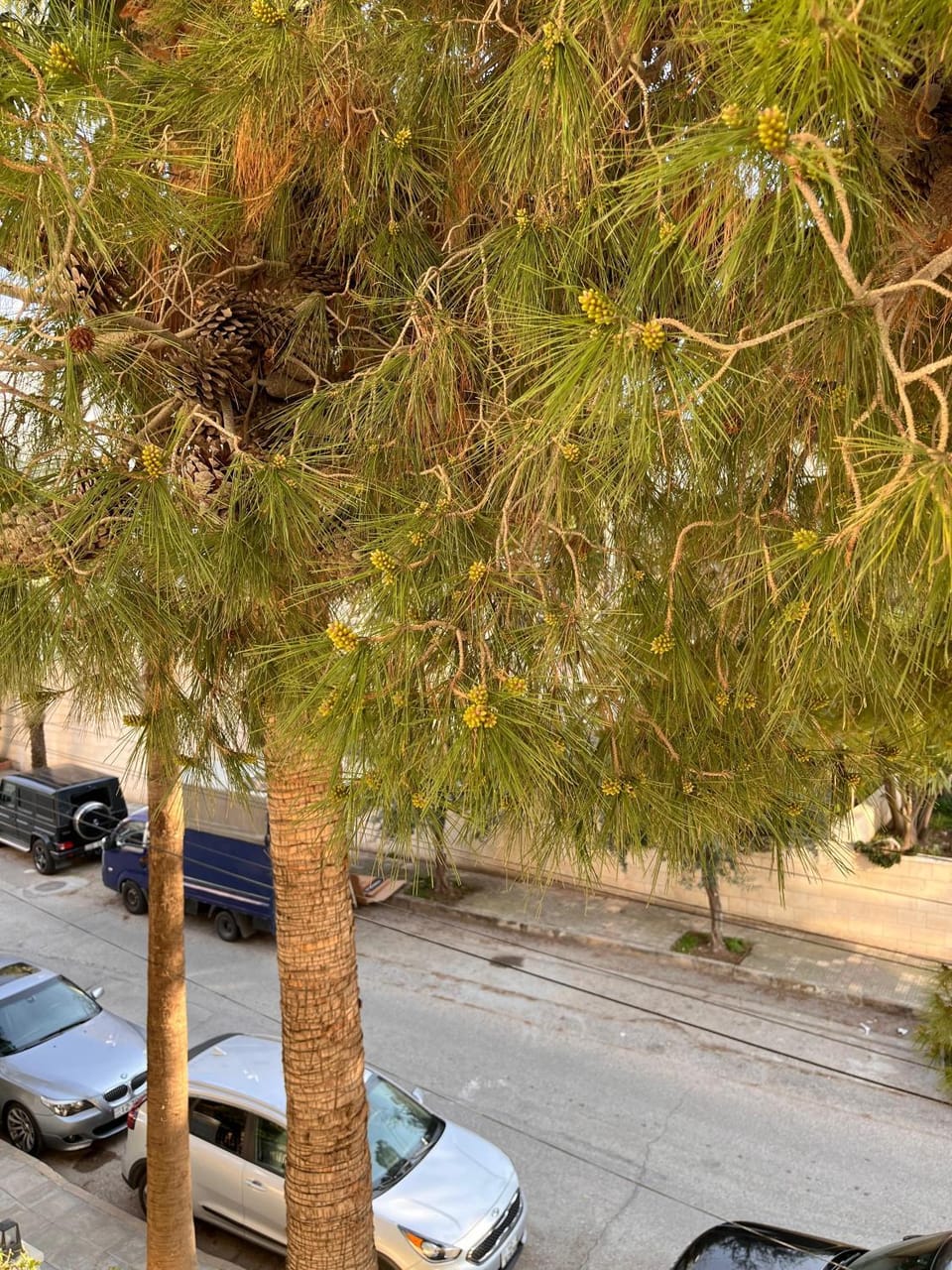 Neighbourhood, Parking