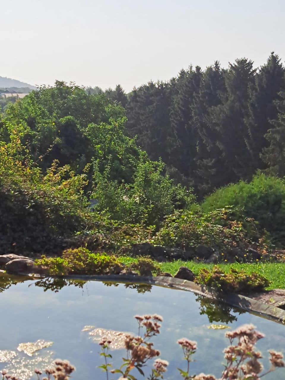 Natural landscape