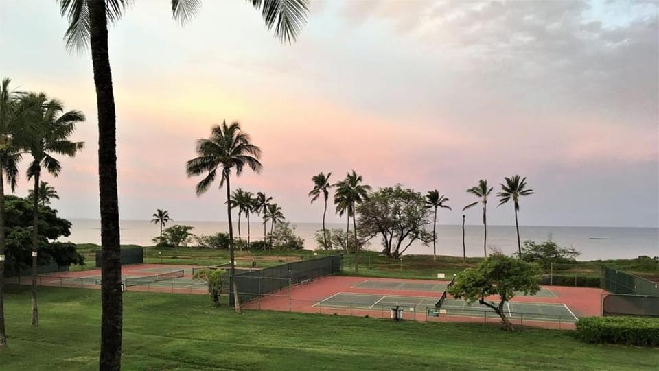 1bd Condo FREE AC great location - steps to ocean! Apartment in Kihei