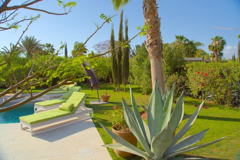 Day, Garden view, Pool view, Swimming pool