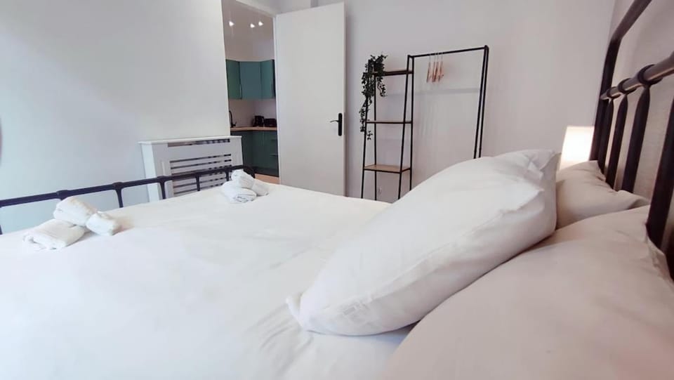 RF101- Magnifique 3 pièces centre Nice Apartment in Nice