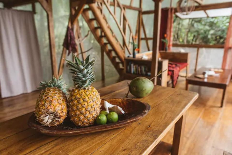 CocoVivo Campground/ 
RV Resort in Bocas del Toro Province