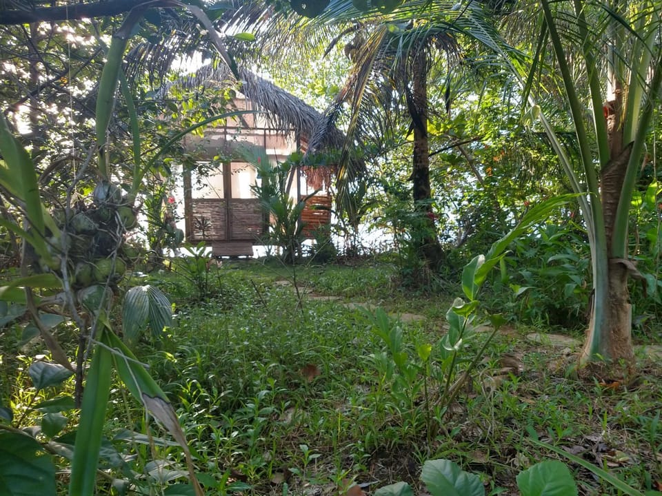 CocoVivo Campground/ 
RV Resort in Bocas del Toro Province