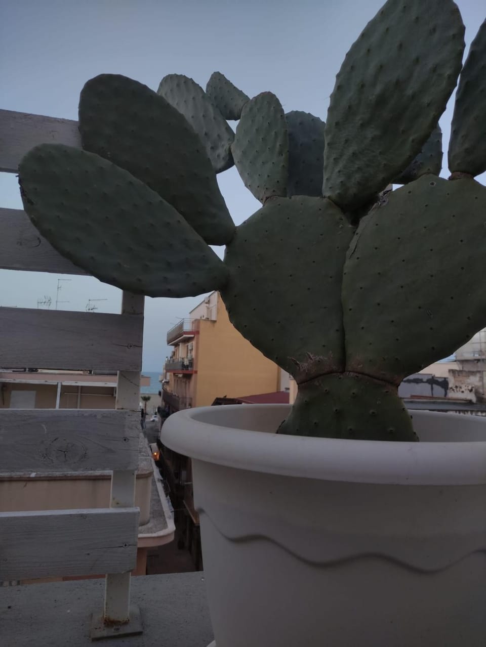 Residence Pugliamare House in Province of Foggia