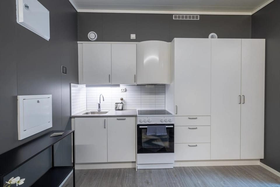Kitchen or kitchenette, dishwasher, oven