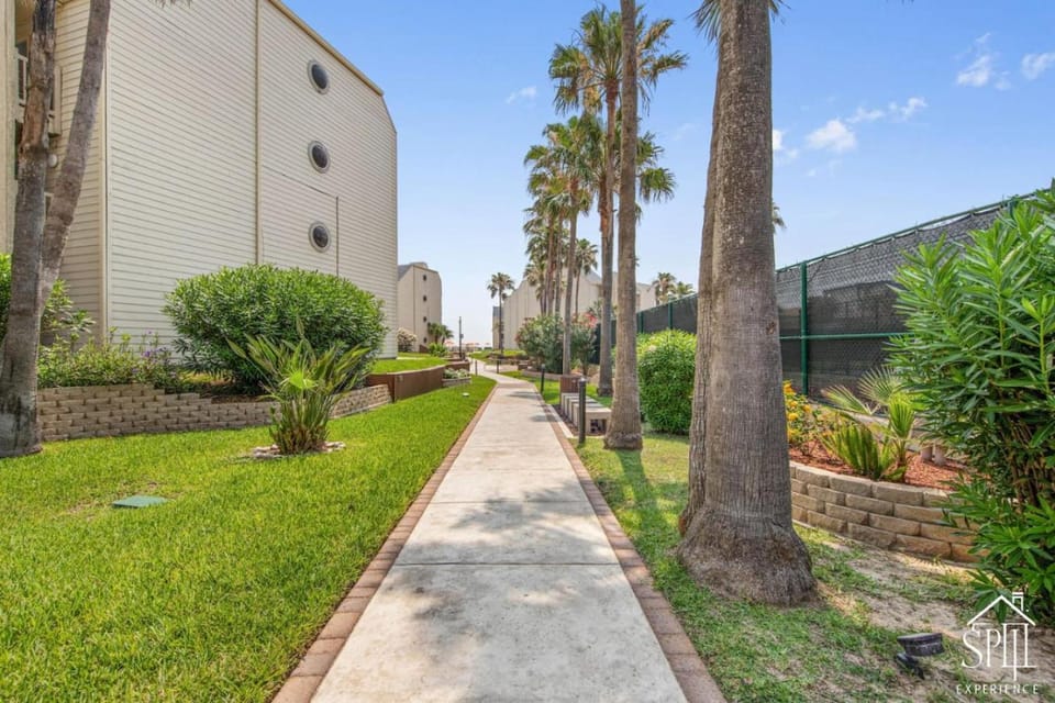 Bahia Mar 160 Sun and Sand Escape Apartment in South Padre Island