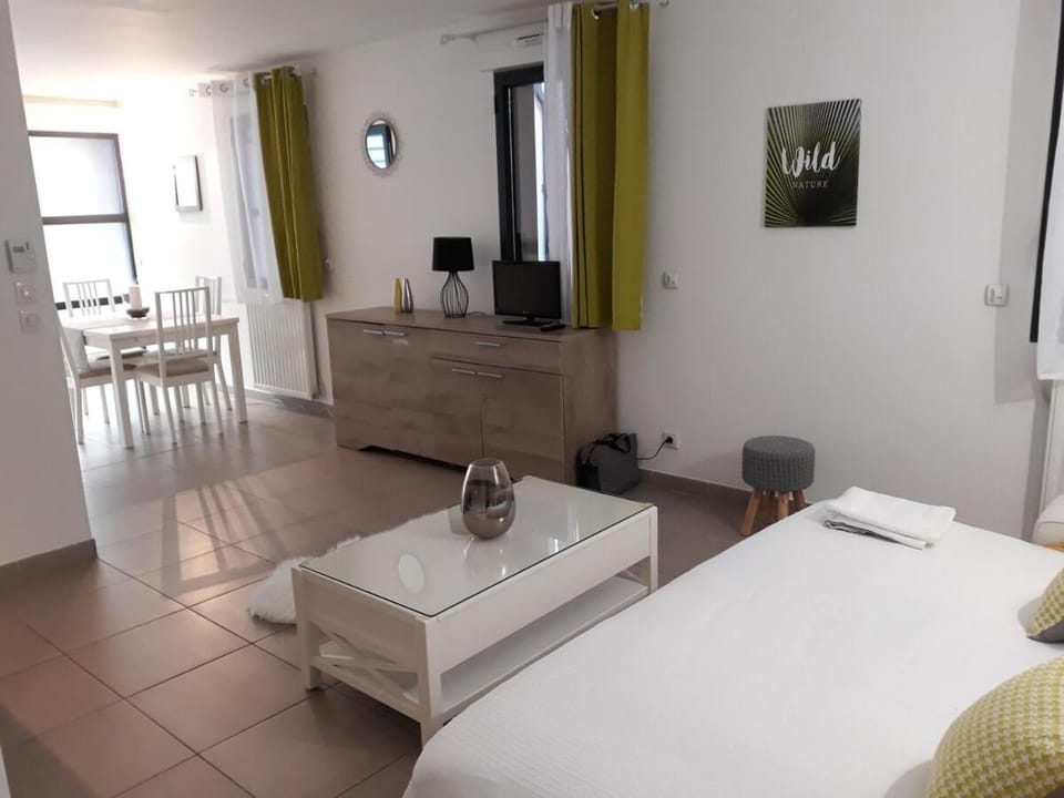 Grand Studio - Proche place de la Comédie Apartment in Montpellier
