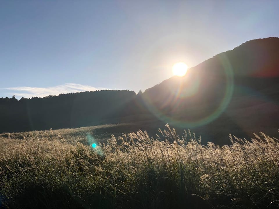 Natural landscape