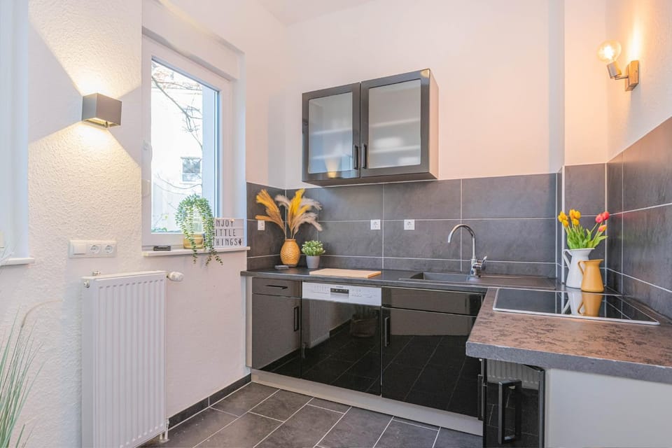 Kitchen or kitchenette, dishwasher